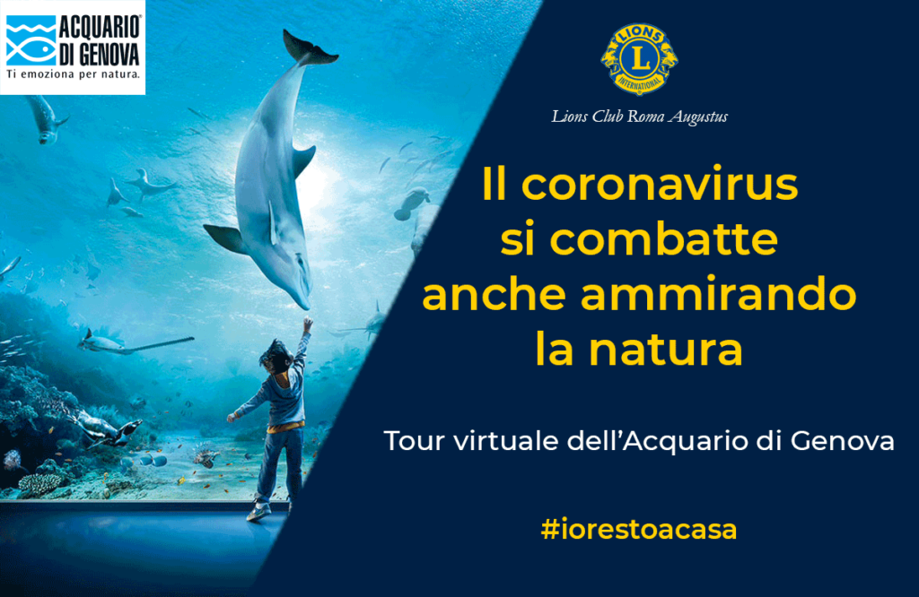 https://www.acquariodigenova.it/iorestoacasa/?fbclid=IwAR0DbzlFC6vo8UyQ_GKP0q-UawoUzXNWOTGhShaP5nboGywLsrz2mCKw9zI#/video-immersivi